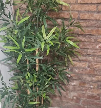 Barcelona,apartamento Con Terraza ロスピタレート・デ・リョブレガート