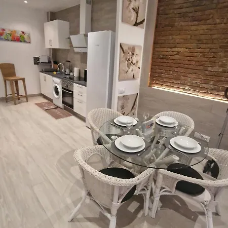 Apartment Barcelona,apartamento Con Terraza L'Hospitalet de Llobregat